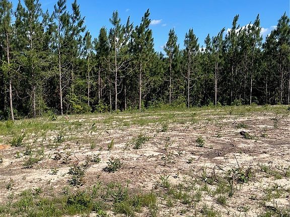 2nd image of 4 Longleaf