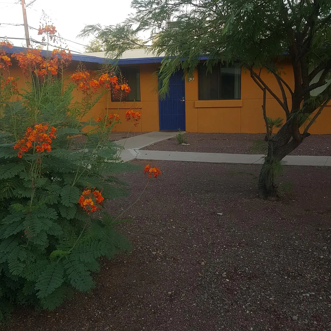 2 bed, 1026 sqft, $1,450 — Photo 1