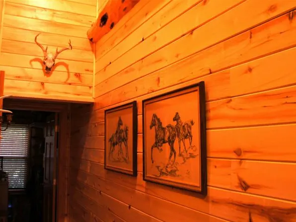 86 Beauty Cove Ln, Camdenton, MO 65020