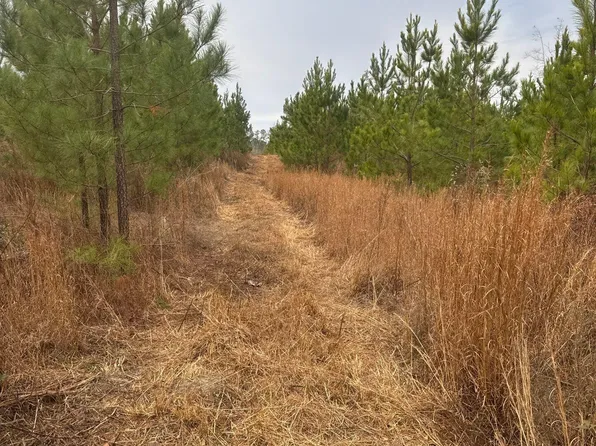 Qbf 12 Nurnberg Drive Road Qbf #12, Leesville, SC 29070