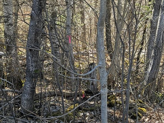 2nd image of 456 West Mills Road