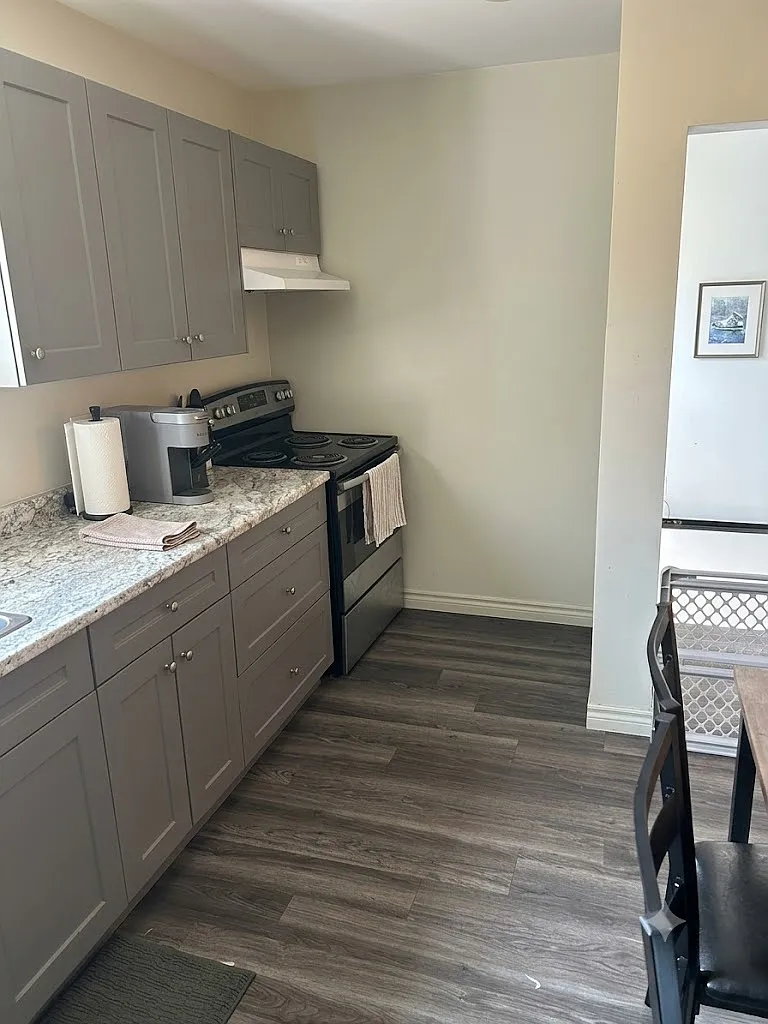 132 McFadden Avenue Sault Ste. Marie — Photo 4