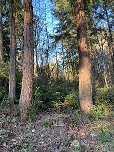 5th image of 1 Huckleberry Lane