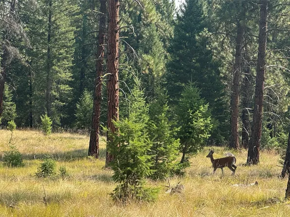 37 Nhn Hwy, Libby, MT 59923