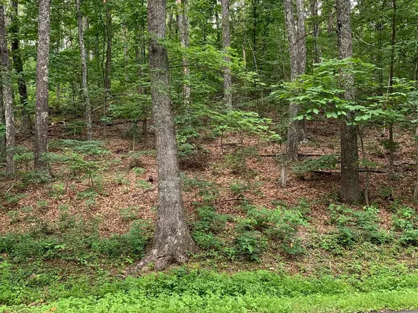 32 Chestnut Ln, Roseland, VA 22967