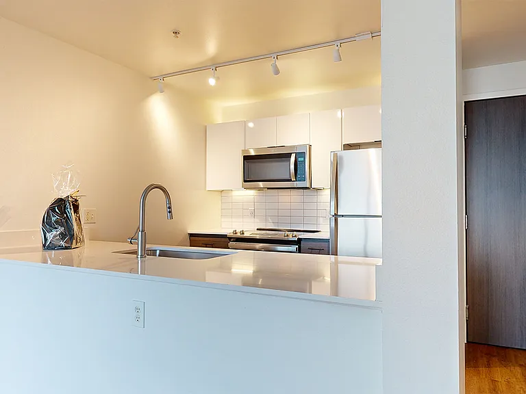 Apartment kitchen with stainless steel appliances, quartz countertops and wood-style flooring.