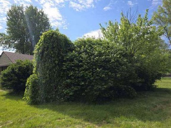Property Side View