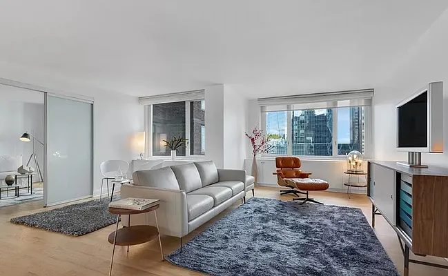 Rented by NY Living Solutions | media 16
