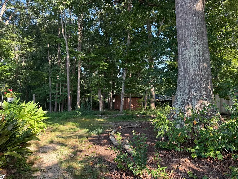 2821 Seclusion Ct — Photo 19