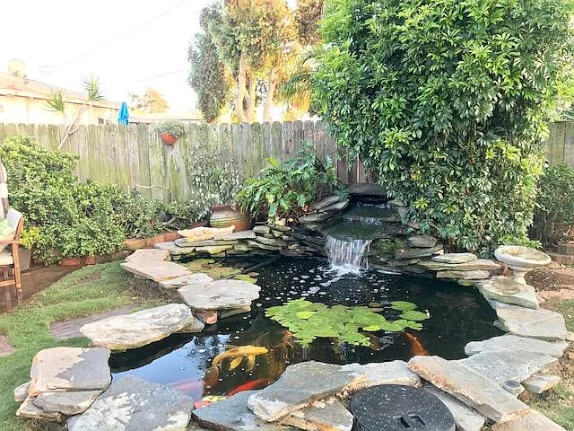 Peaceful koi pond