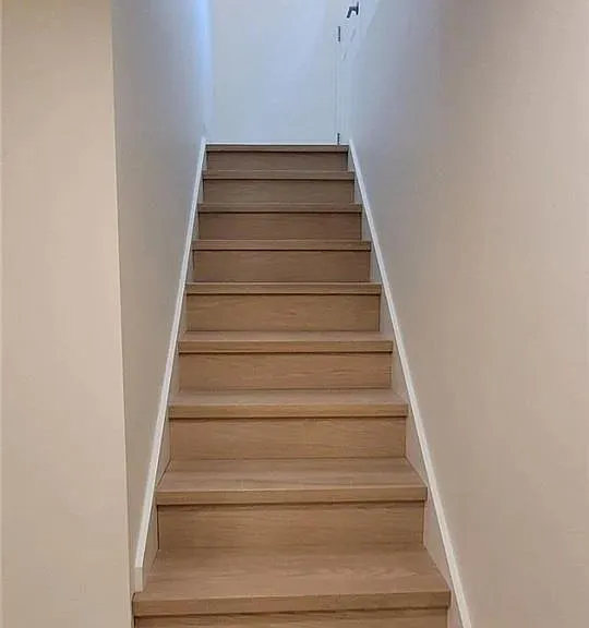 2564 Comet Ct — Photo 14