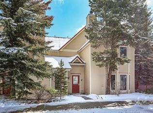 304 S French St APT F, Breckenridge, CO 80424