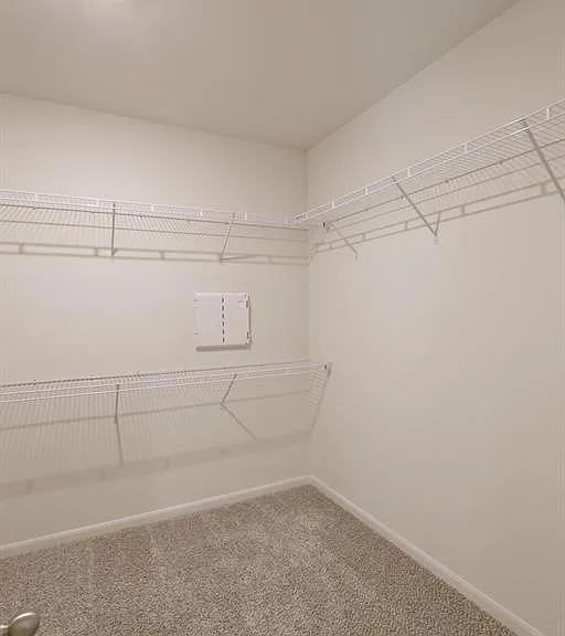316 Sweet Pea Ln — Photo 10