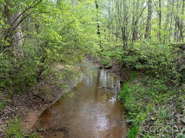 0 Flowing Ivy Ln #8, Claremont, NC 28610