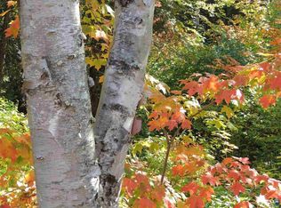 X29 Isak Rdg, Lutsen, MN 55612