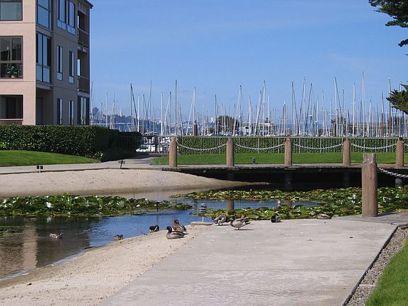 Boardwalk & Marina