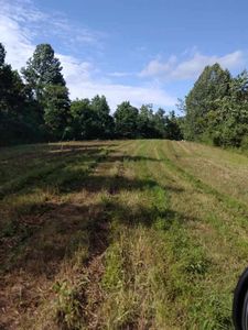 48XX County Road 1407, Columbia, KY, 42728