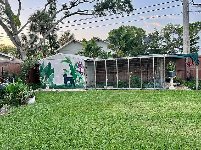 Backyard