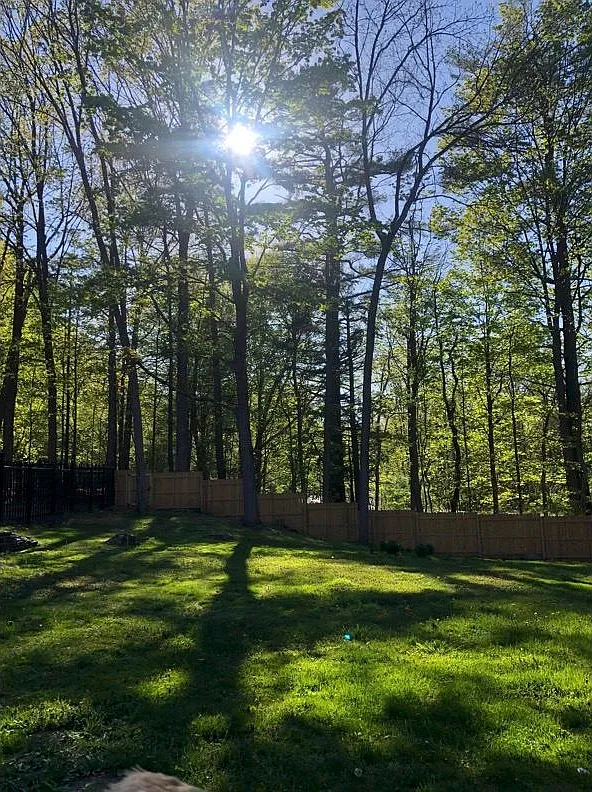 1 bed, 500 sqft, $1,800 — Photo 2