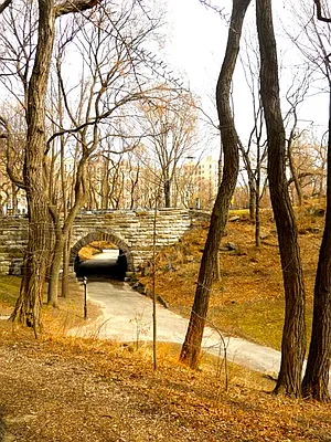 Rented by DSA Realty | media 28