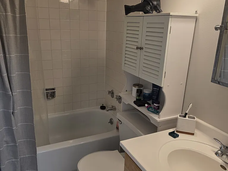 1636 N Wells St #3004 — Photo 14
