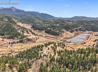 220 Rocky Mountain Vw, Divide, CO 80814