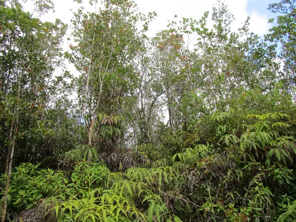 Ala Naulani Rd Lot 83, Volcano, HI 96785