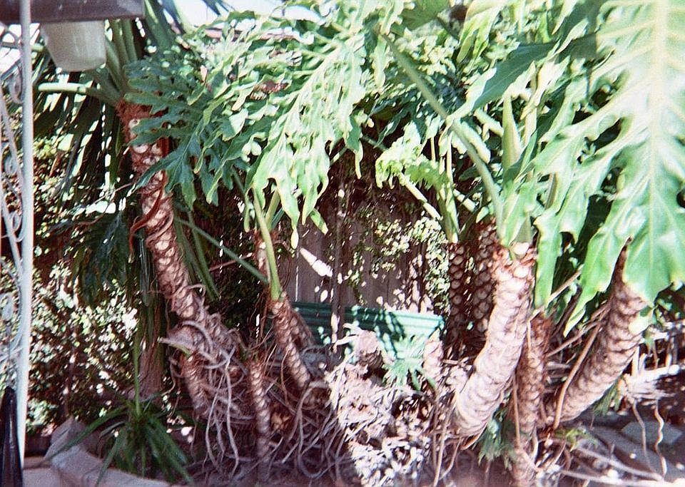 Looking from front door