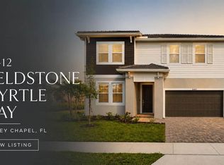 10412 Fieldstone Myrtle Way, San Antonio, FL 33576
