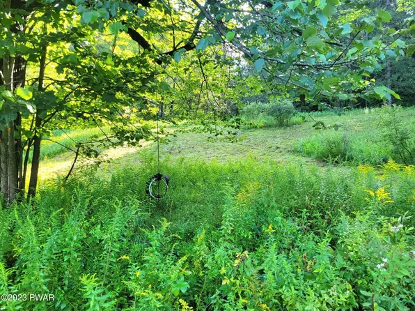 Miller Pond Rd, Pleasant Mount, PA 18453
