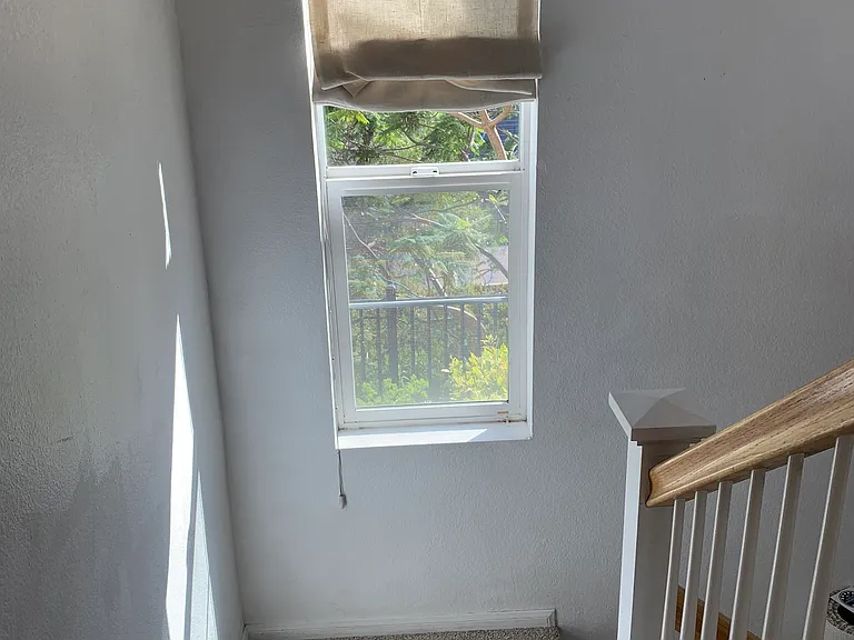 2772 Escala Cir — Photo 20