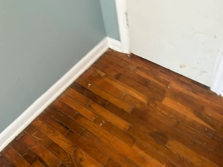 4411 Greenlawn Dr — Photo 5