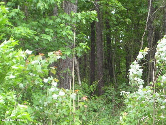 4th image of 378 Bogue Loop Road LOT lT 3