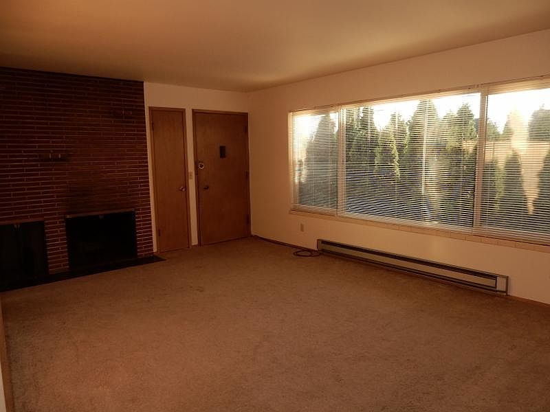 Living Room and Fireplace