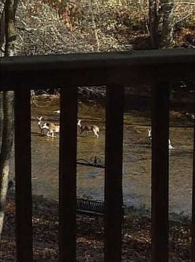 2nd image of 485 Stonehedge Dr