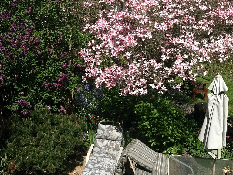 outdoor patio