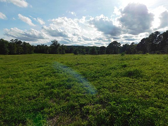 4th image of Groundhog Rd