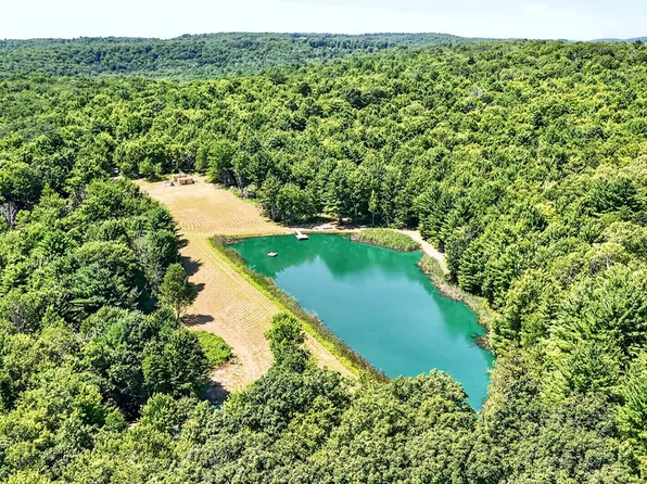 319 Reniff Rd Lot 13, Lockwood, NY 14859