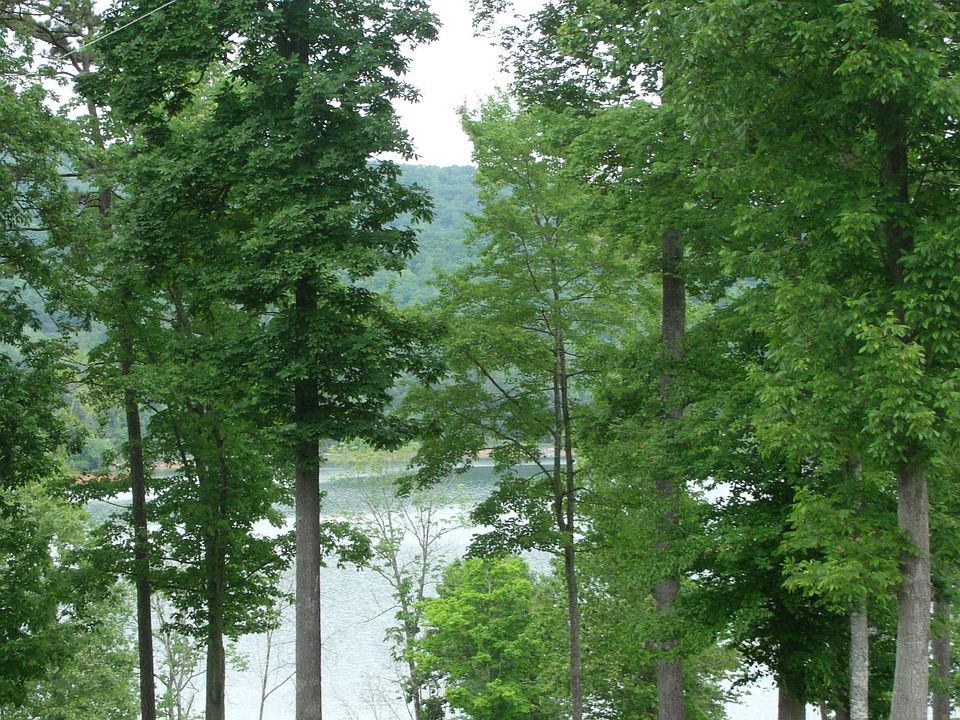 1st image of 84 Hickory Pointe Ln Lot 84