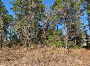 11167 Kiska Wren Rd, Weeki Wachee, FL 34614