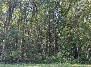 0 Old Parsonage Rd, Summerville, SC 29483