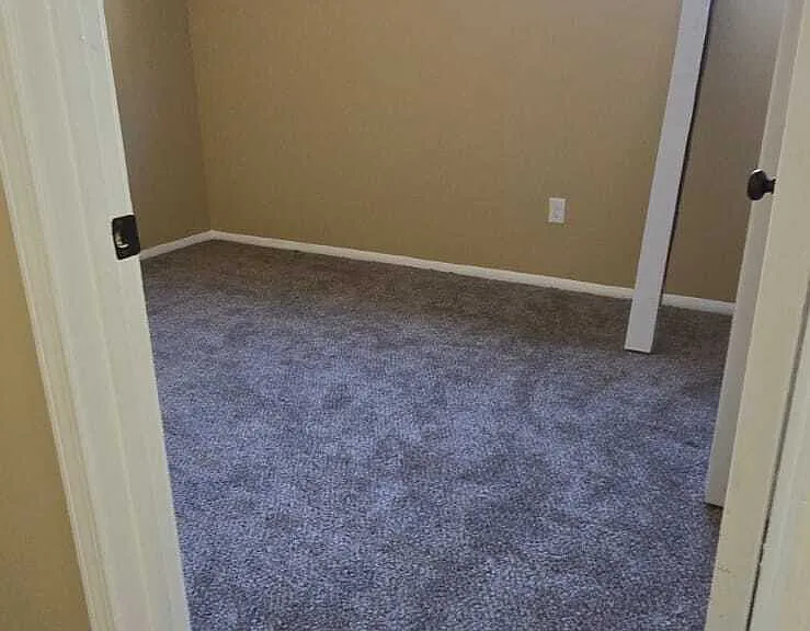3335 Kirby Trees Pl — Photo 4