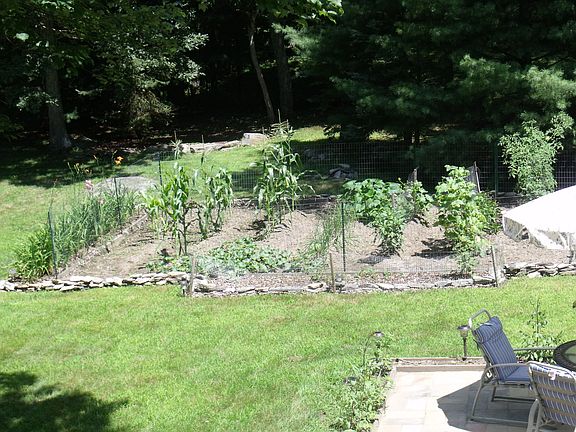 Patio and Vegitable Garden