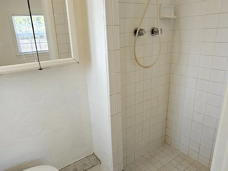 Walk in shower