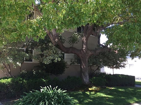 Garden style apartment complex