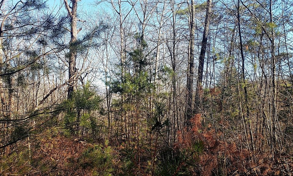 1st image of 191 Hidden Hills Ln