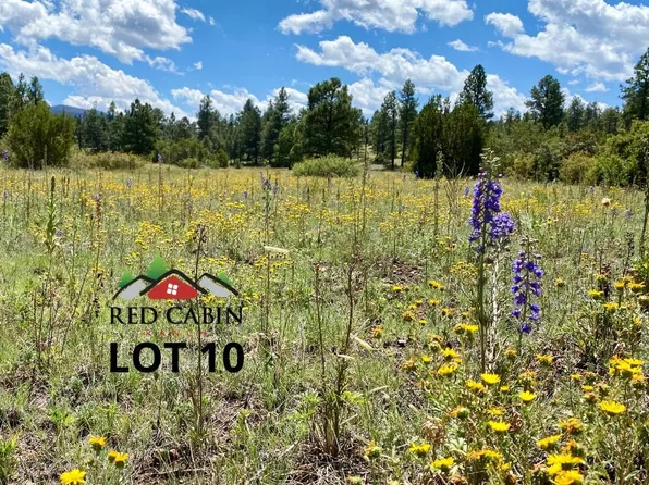 LOT 10 Red Cabin Rnch, Vernon, AZ 85940