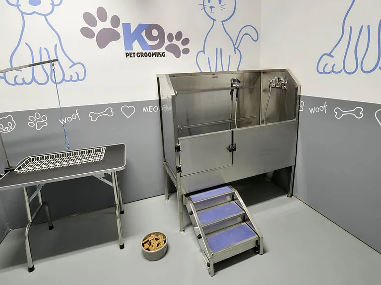 Pet Washing Station