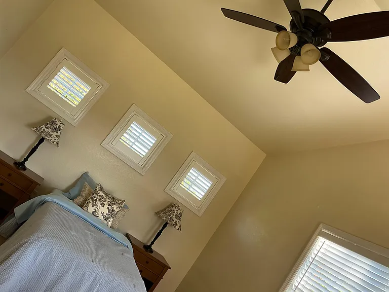 Ceiling Fan View