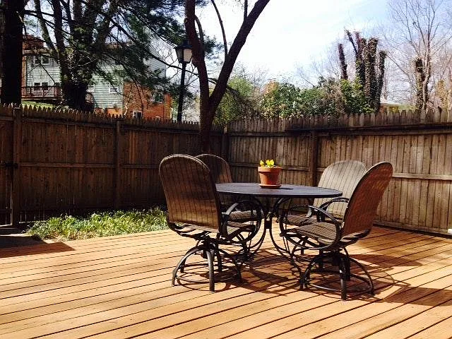 Backyard